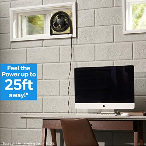 11 inch Fan Y12666