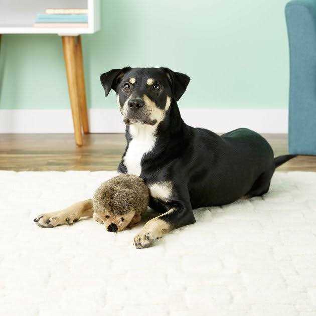 Dog Toy Hedgehog E4075