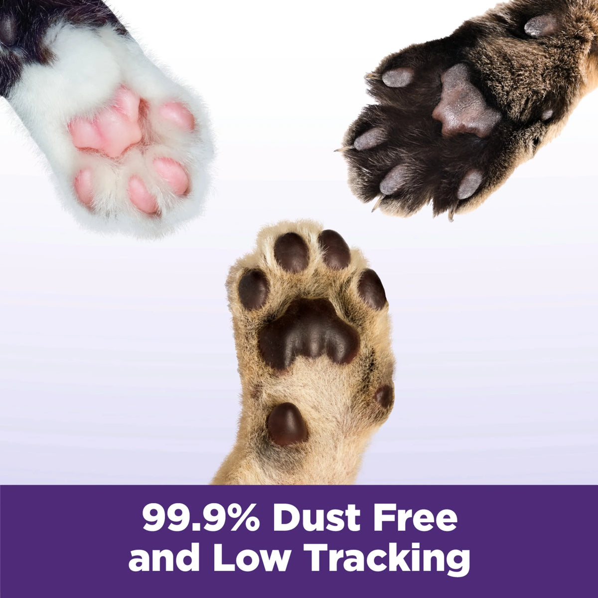 Multi-Cat Clumping Cat Litter 38 lbs N351