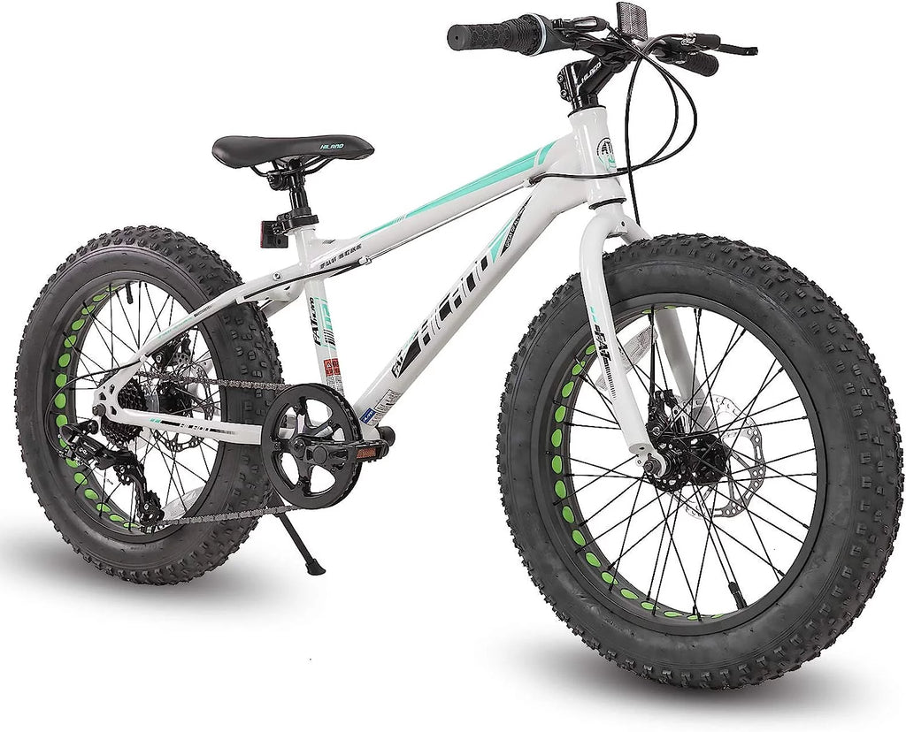 20 inch Kids Fat Tire Mountain Bike W9360