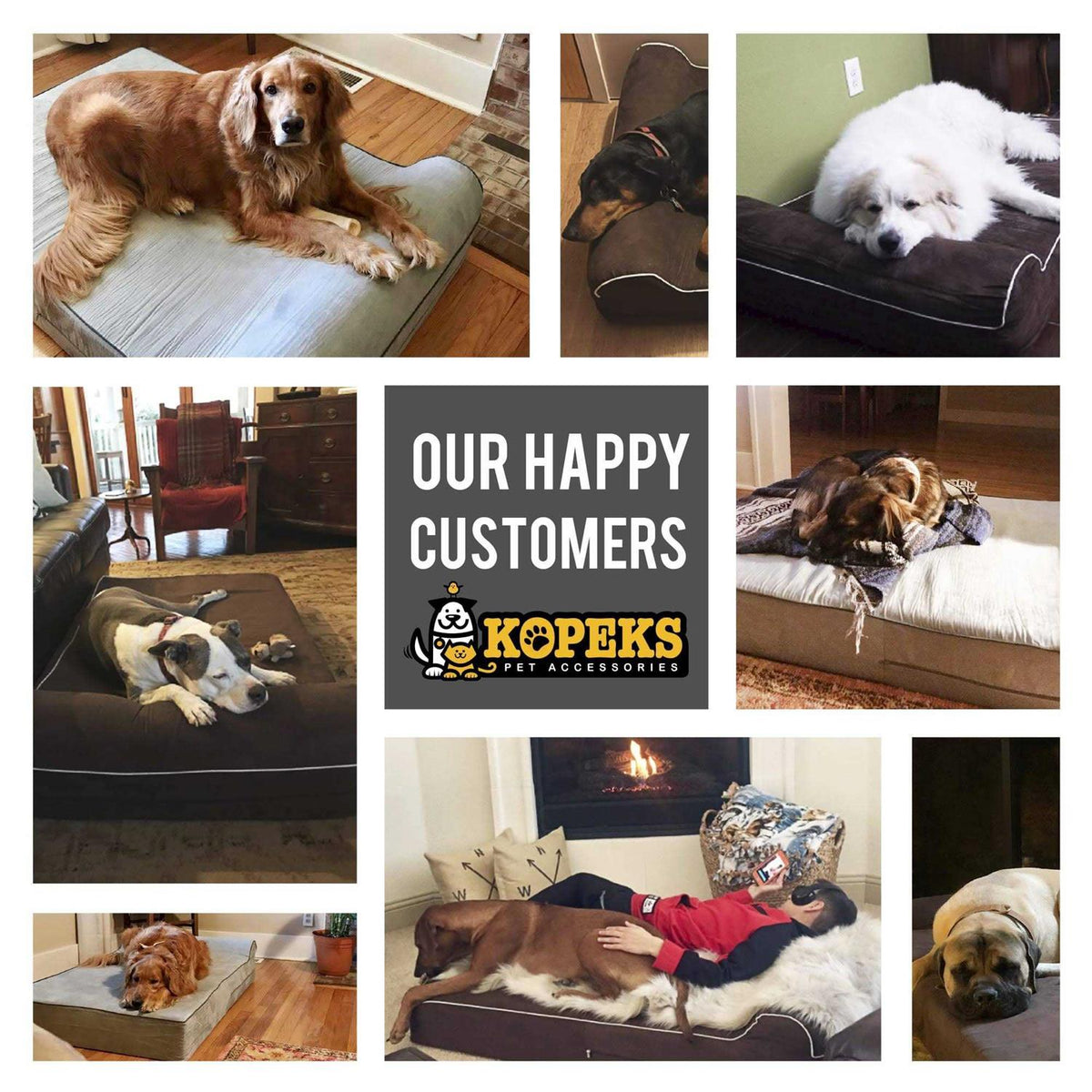 Dog Bed with Pillow Memory Foam W99586