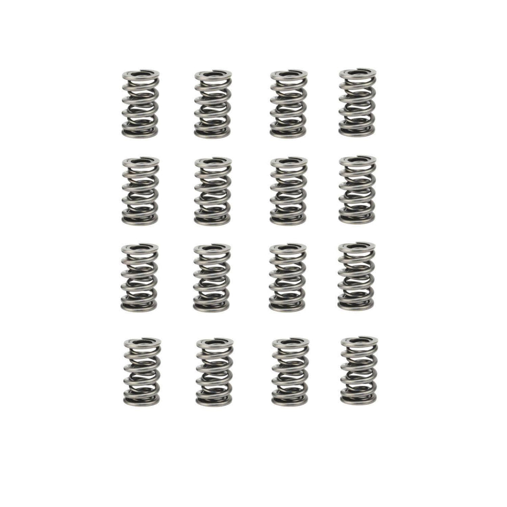 Dual Valve Spring Set X2359