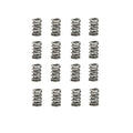Dual Valve Spring Set X2359