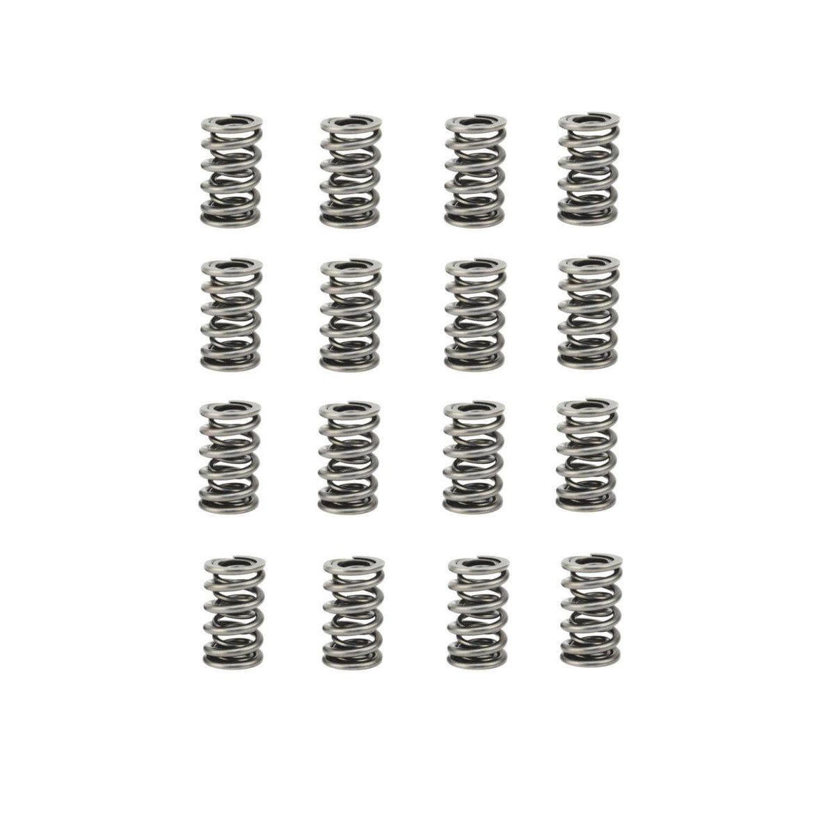 Dual Valve Spring Set X2359
