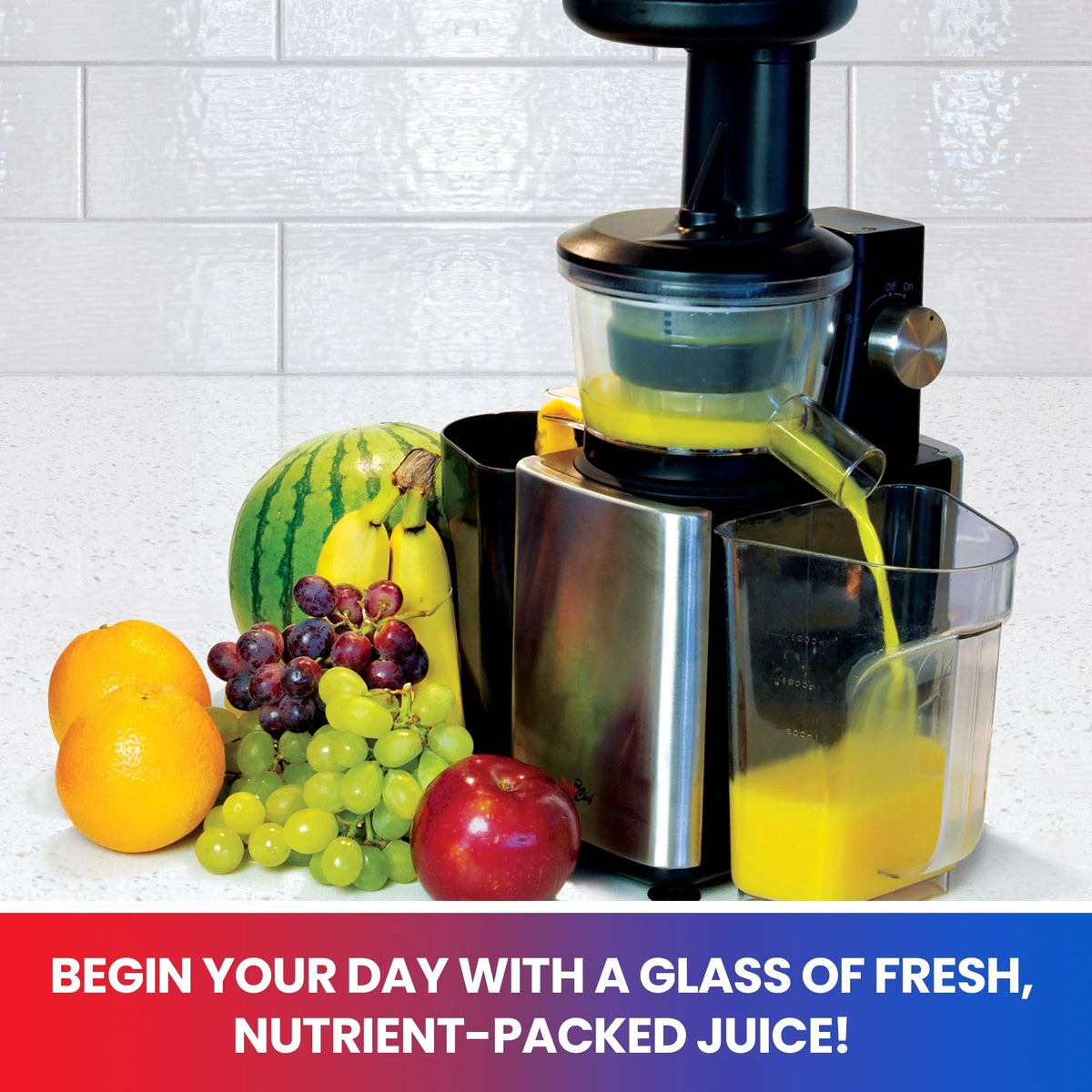 Cold Press Slow Juicer B745