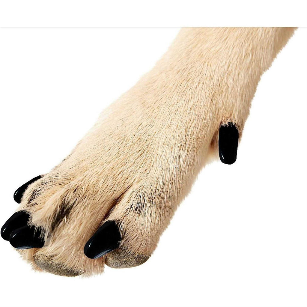 Soft Nail Caps for Dogs C68971