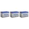 12V 12Ah F2 Battery 3 Pack A7479
