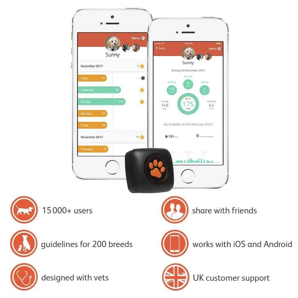 Dog Activity and Fitness Monitor C2445