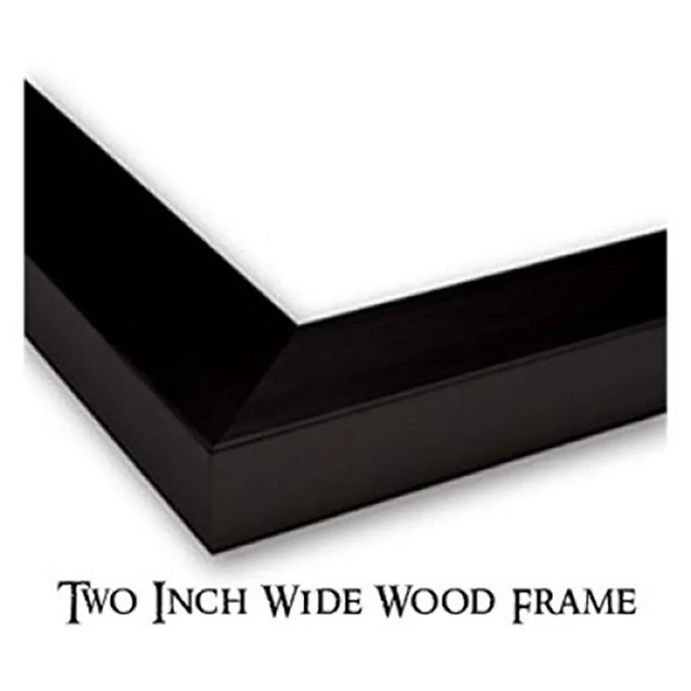 Black Modern Framed Art Print J972