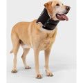 Dog Cone Alternative E-Collar M372