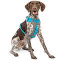 Dog Harness T274