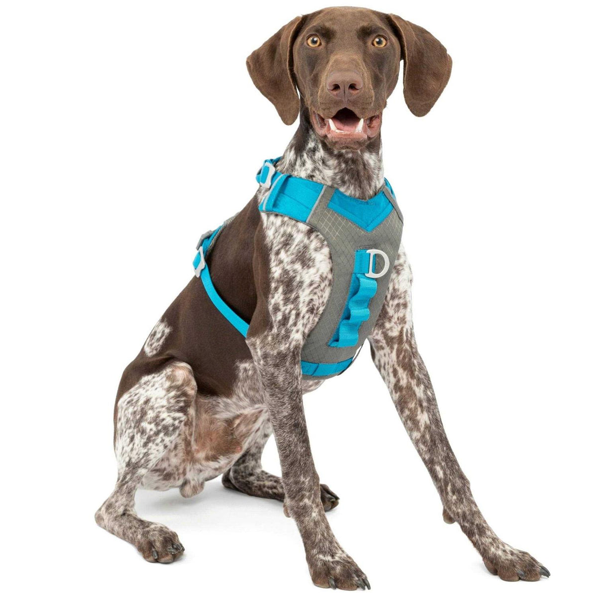 Dog Harness T274