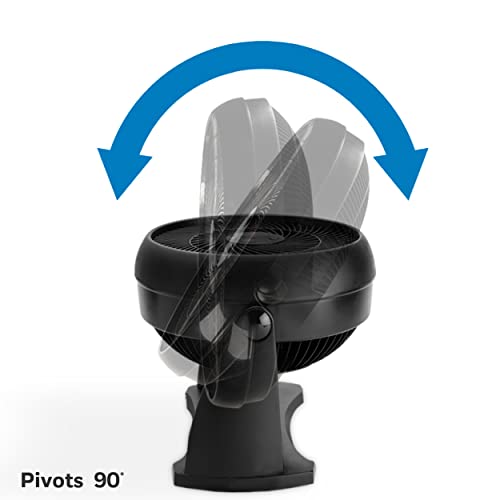 11 inch Fan Y12666