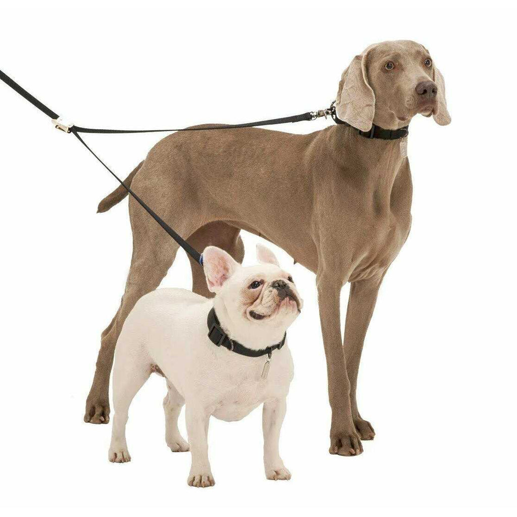 Double-Dog Leash Y6204