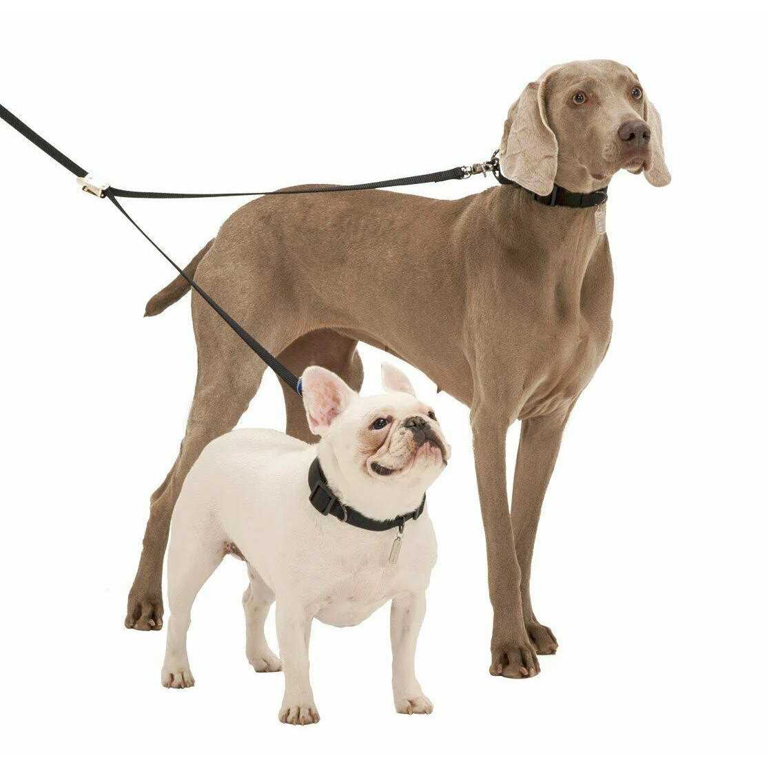 Double-Dog Leash Y6204