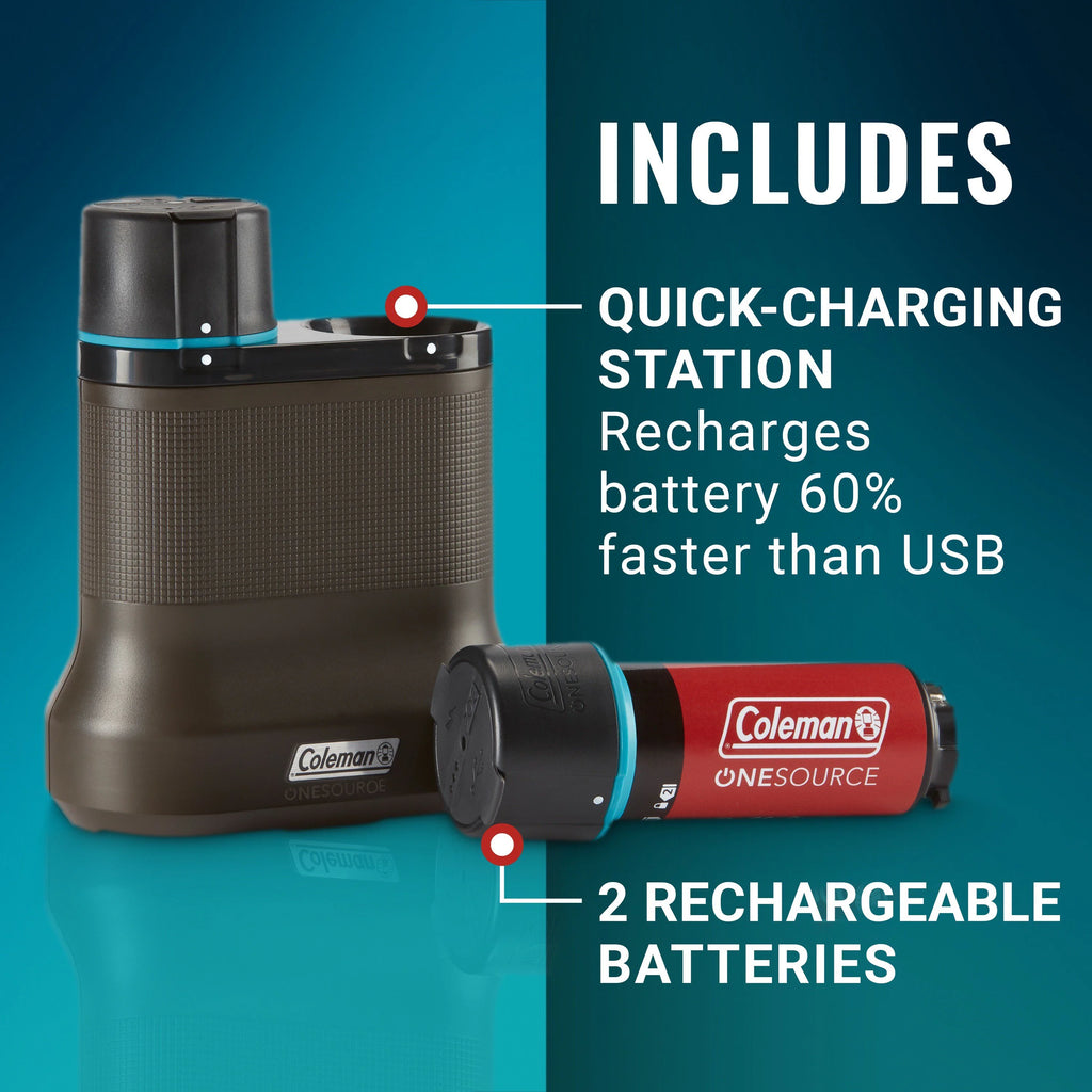 Rechargeable Lithium-Ion Battery Pack of 2 & 2-Port Quick-Charging Station Z544541