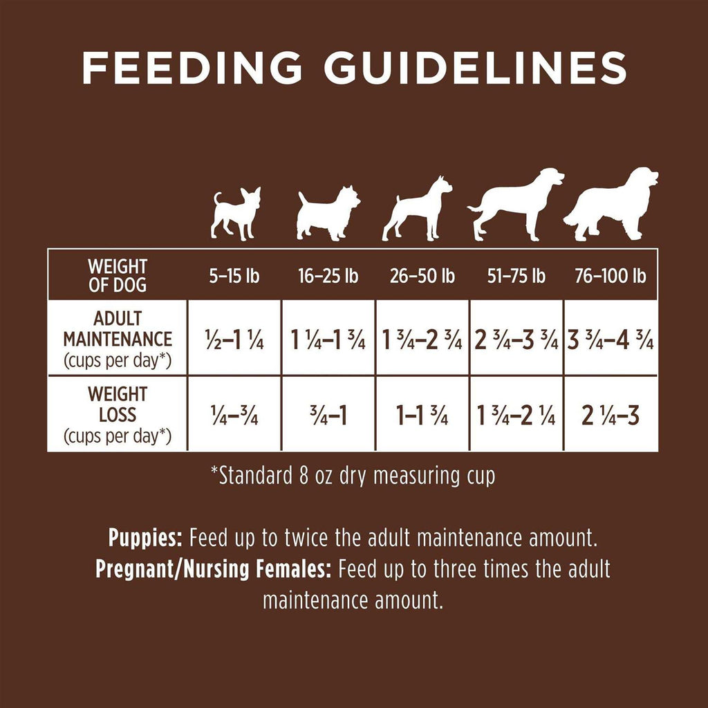 Chicken & Brown Rice Recipe Dry Dog Food W73977