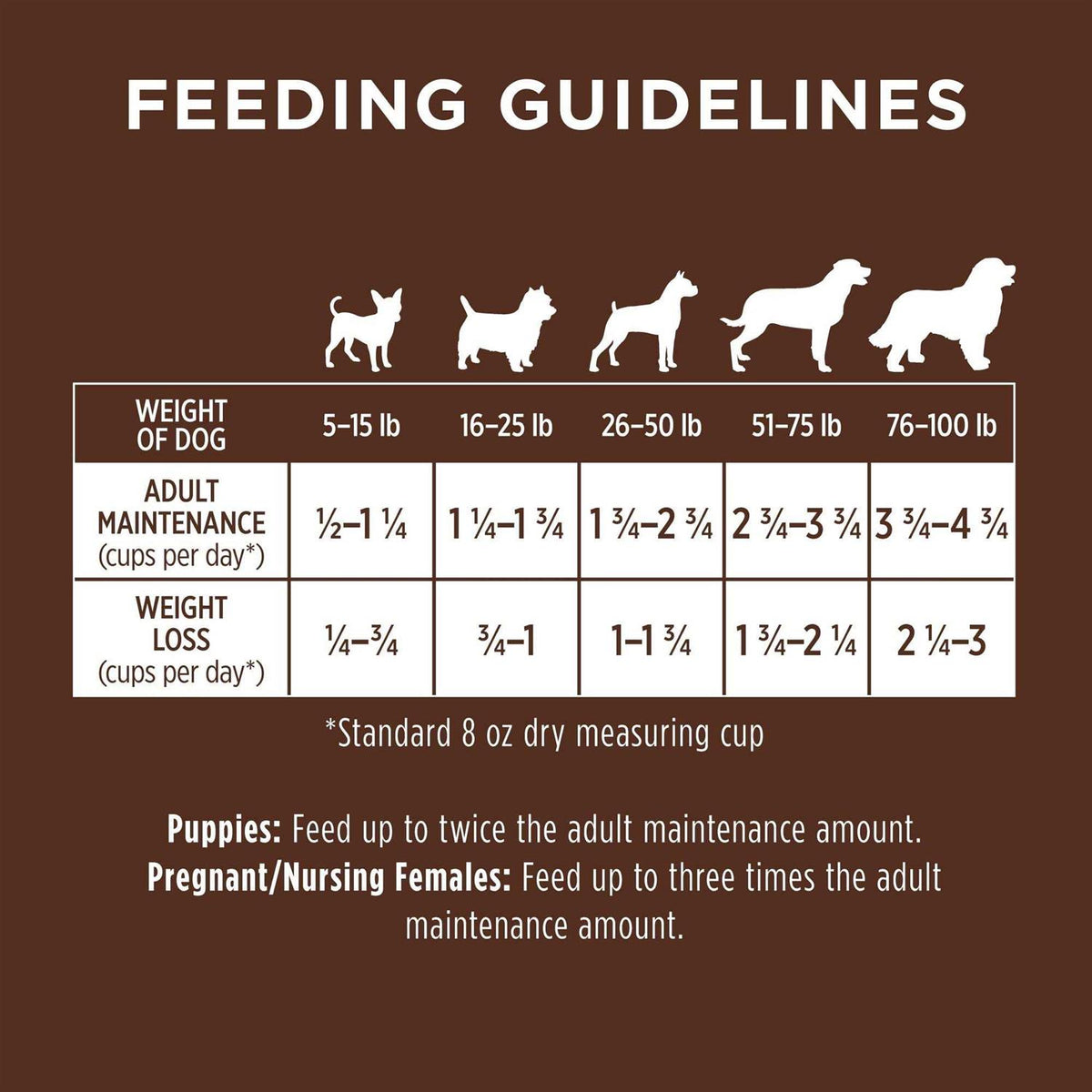 Chicken & Brown Rice Recipe Dry Dog Food W73977