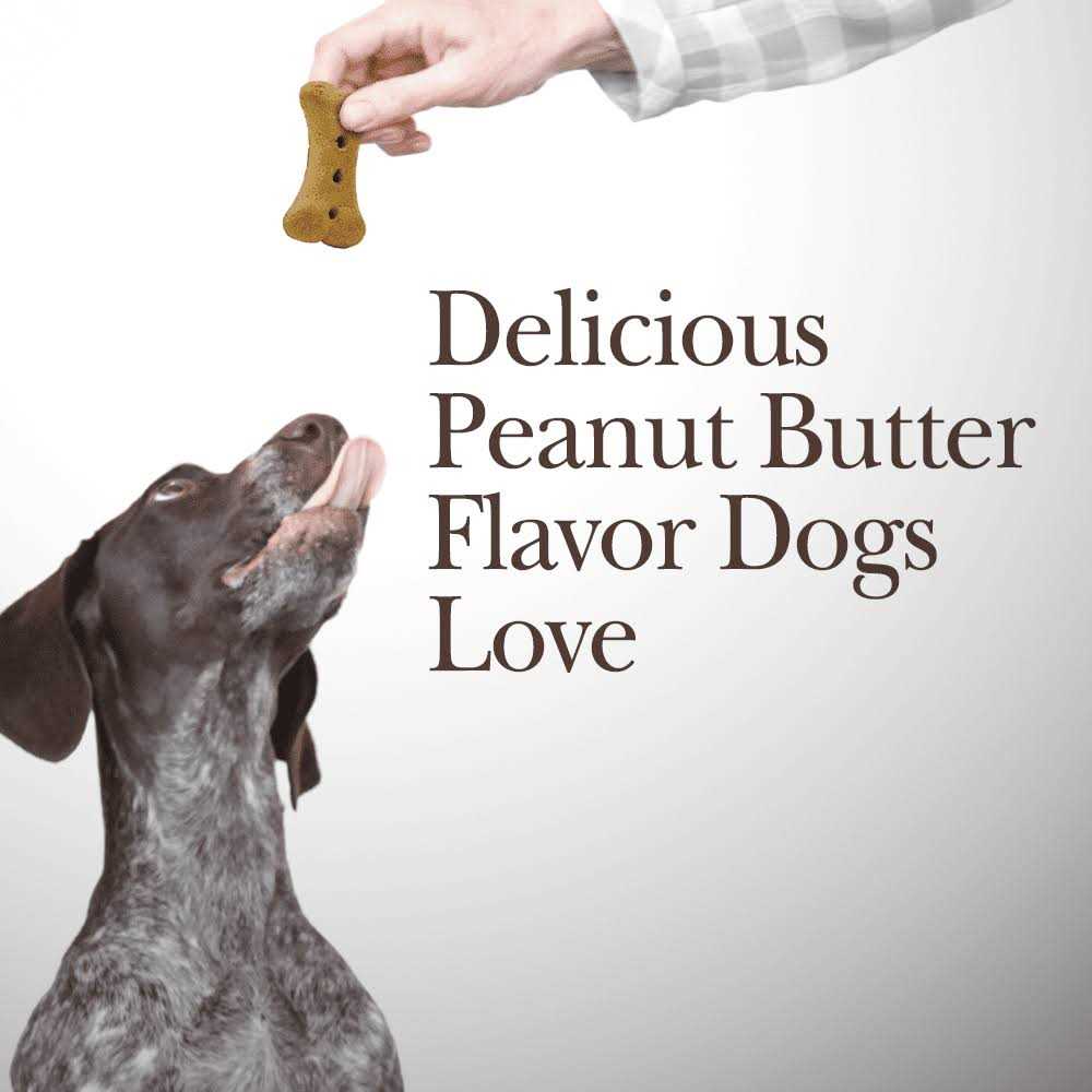 Hip & Joint Biscuits P838