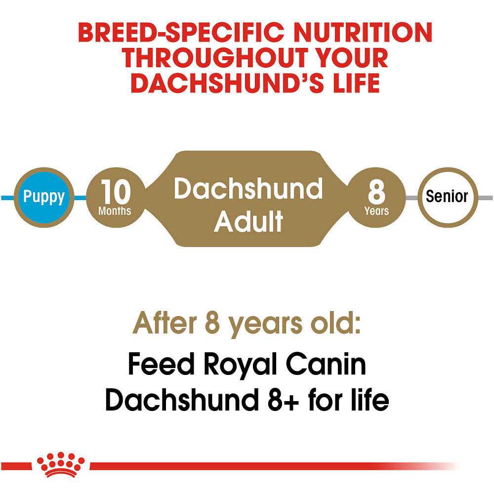 Adult Dry Dog Food X9364