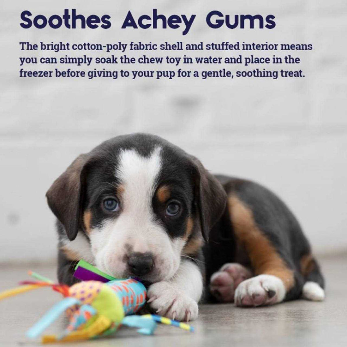 Cool Teething Stick Dog Toy S64438