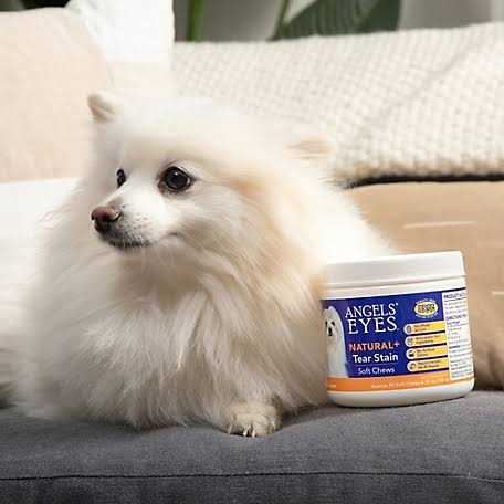 Natural Soft Chews for Dogs T3048