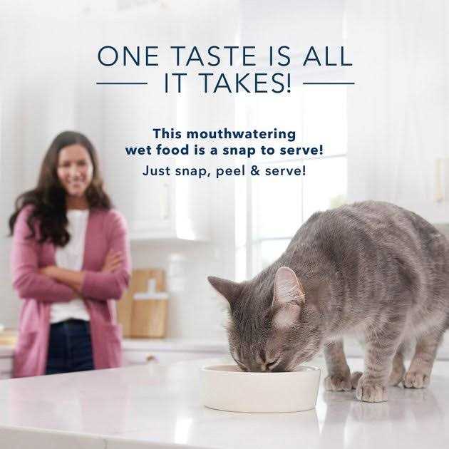 Adult Cuts in Gravy Wet Cat Food I25803