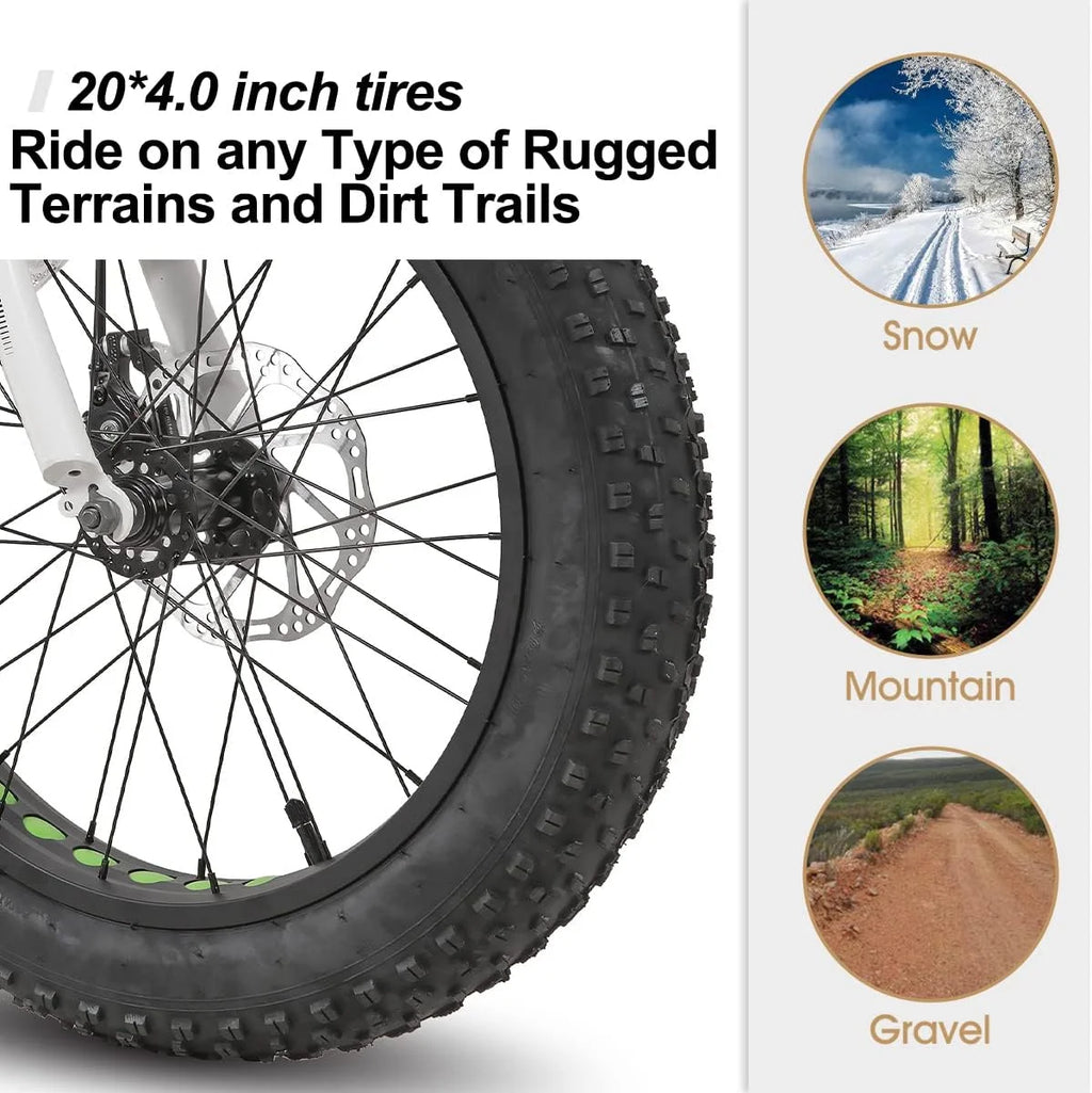 20 inch Kids Fat Tire Mountain Bike W9360