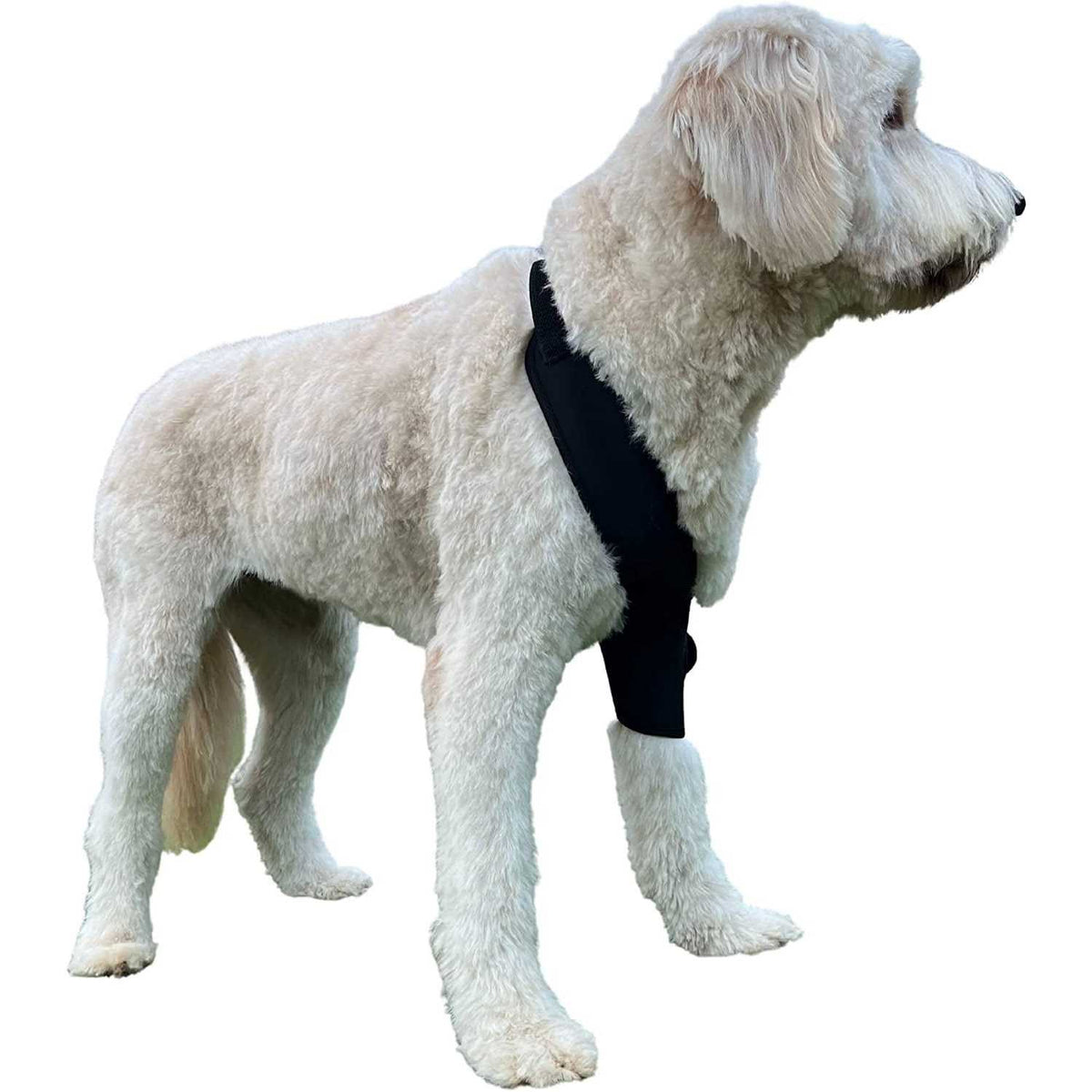 Dog Shoulder Elbow Brace Leg Wrap Y428