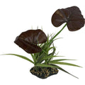 Canopy Plant K412