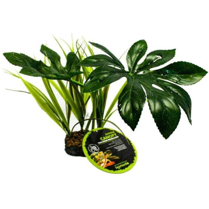 Canopy Plant K412