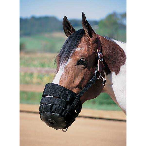 Leather Grazing Muzzle R45508