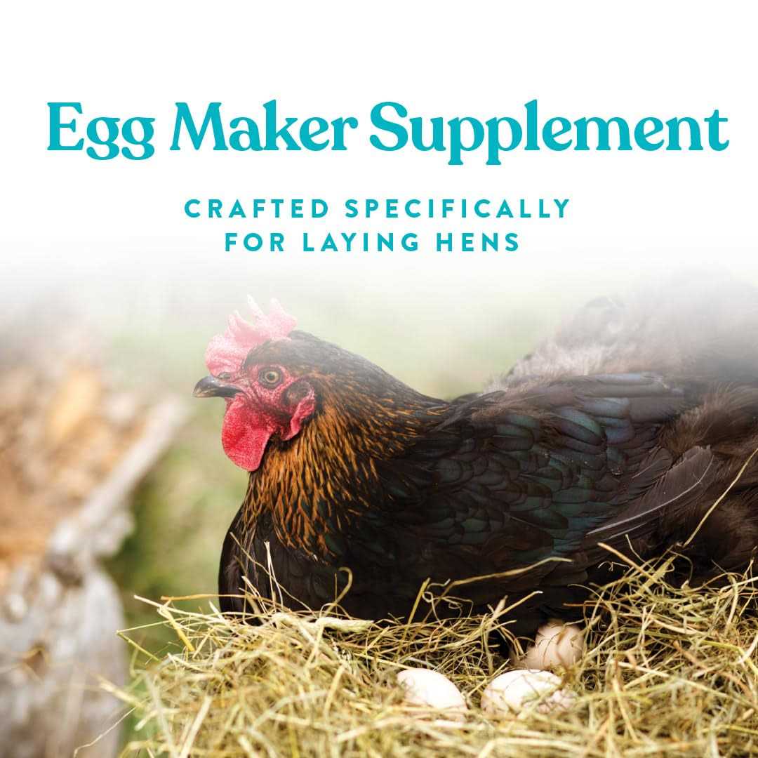 Omega Egg Maker Supplement R847