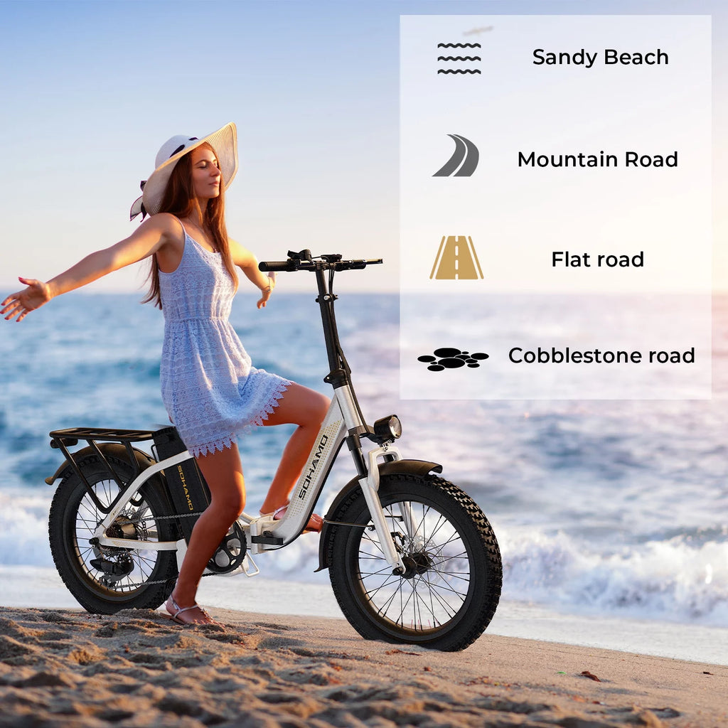 750W Folding Electric Bike 48V 15AH Removable Battery 20 Fat Tire F826688