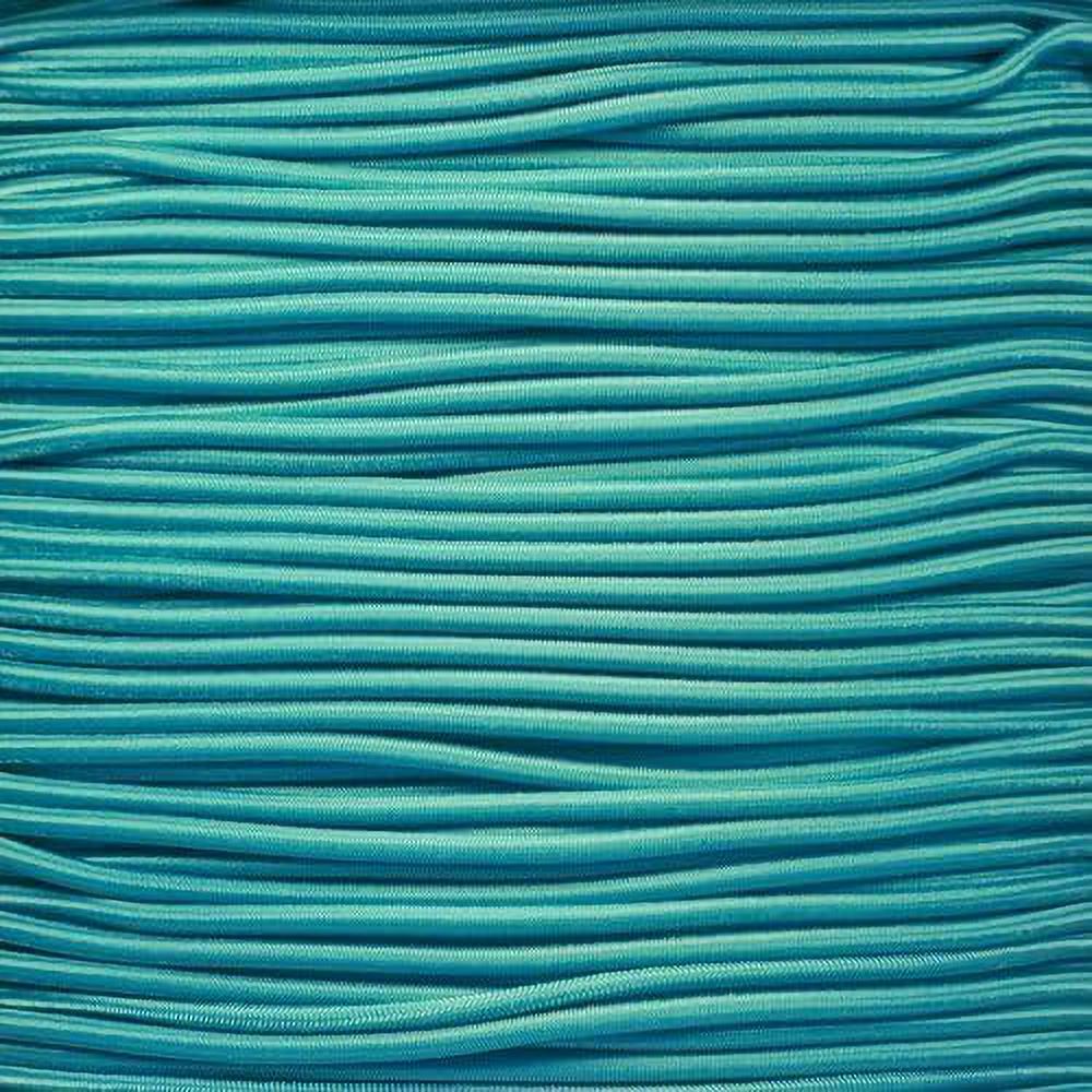 1/8 Inch Shock Cord (Black, 10 Feet) I9311