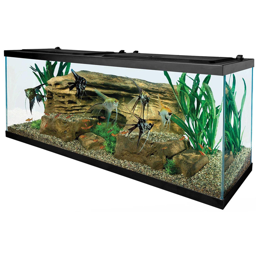 55-Gallon Aquarium with Net V974088