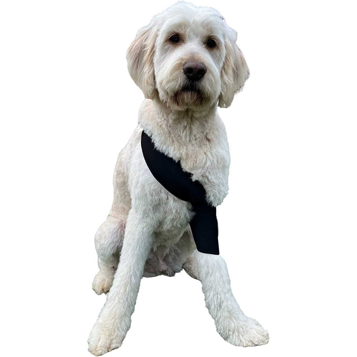 Dog Shoulder Elbow Brace Leg Wrap Y428