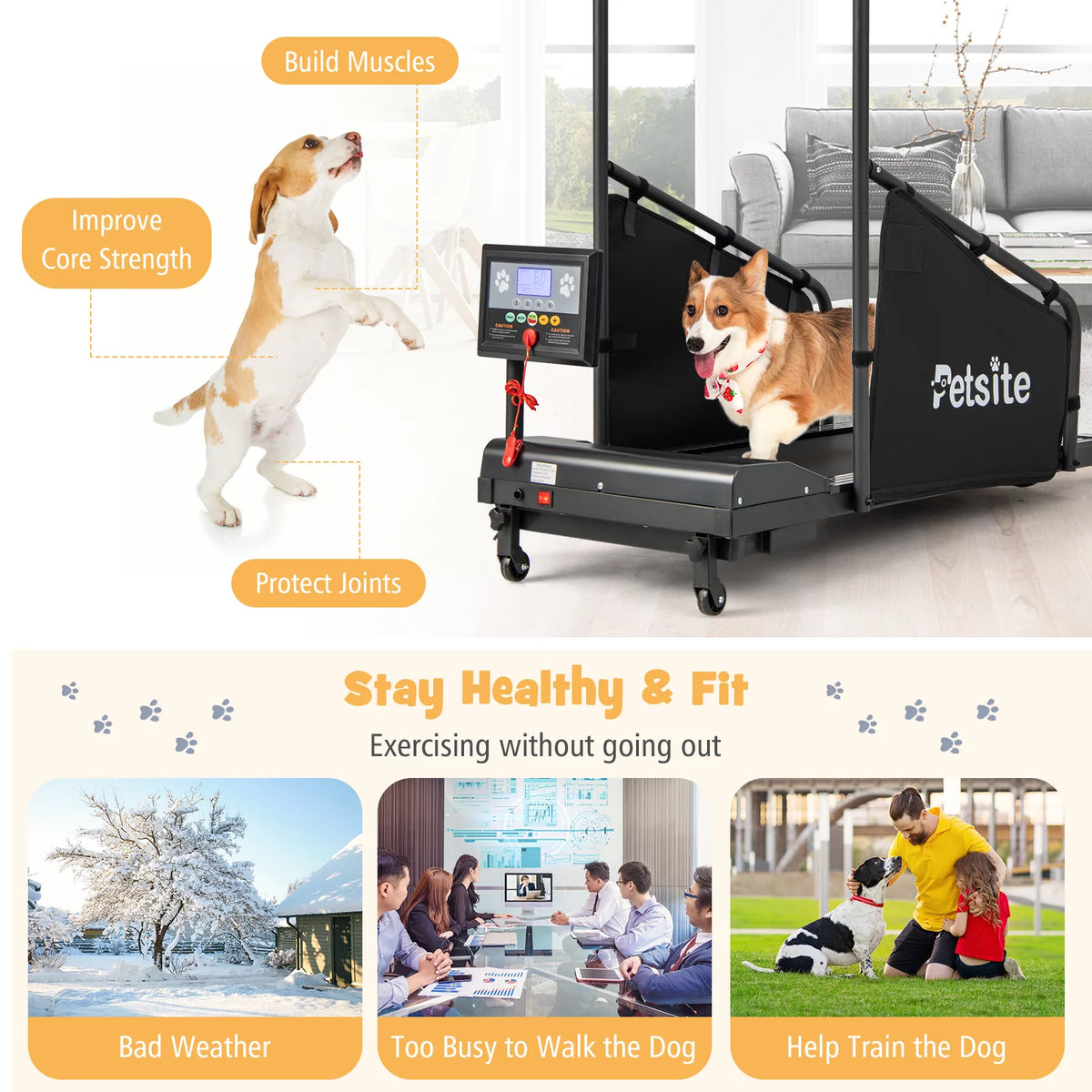 Dog Treadmill S820212
