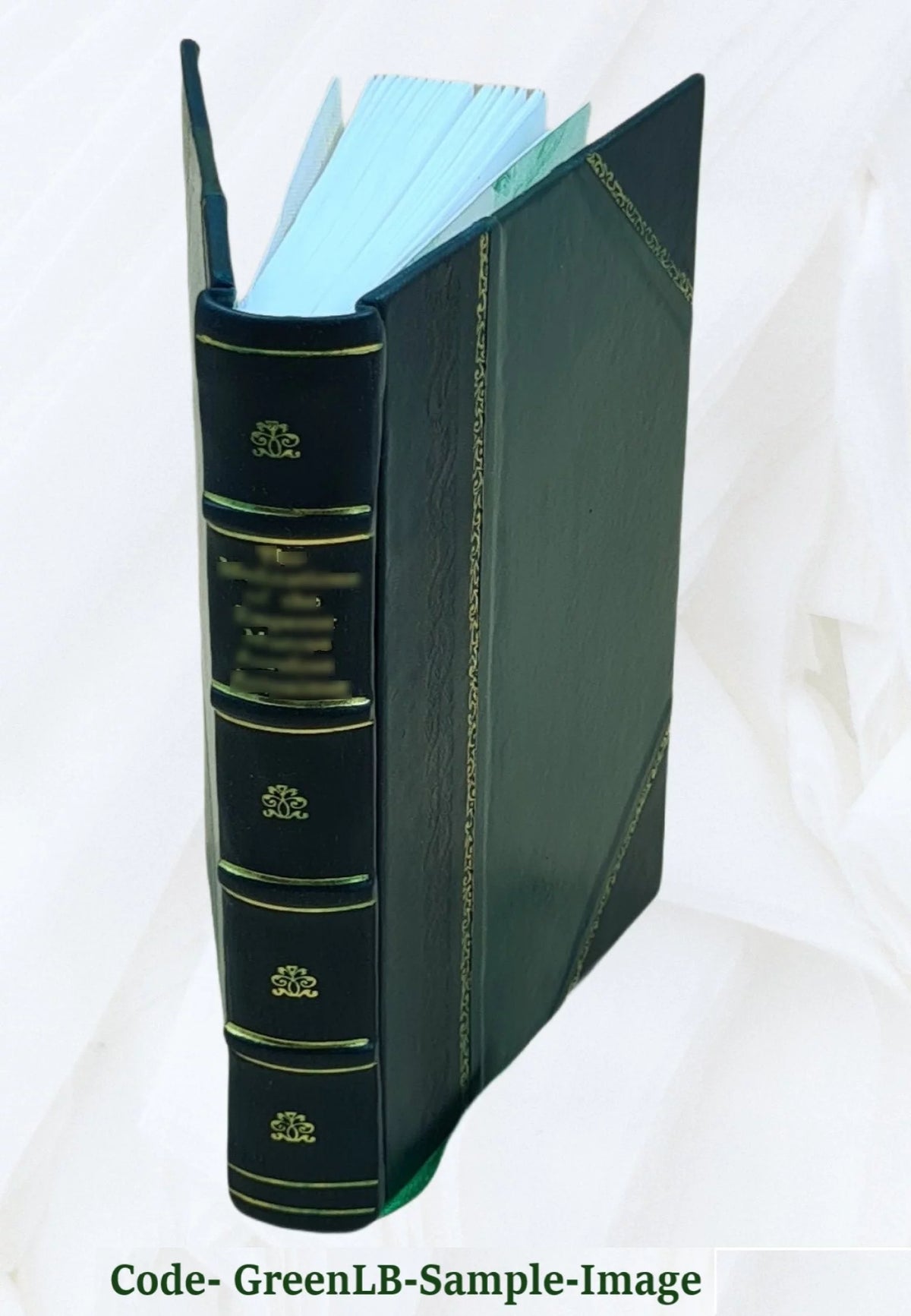 Leather Bound Book X64665