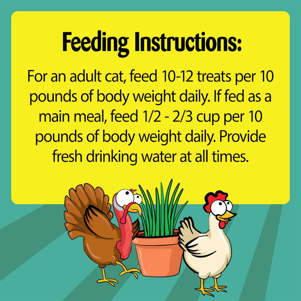 Crunchy and Soft Cat Treats W6354
