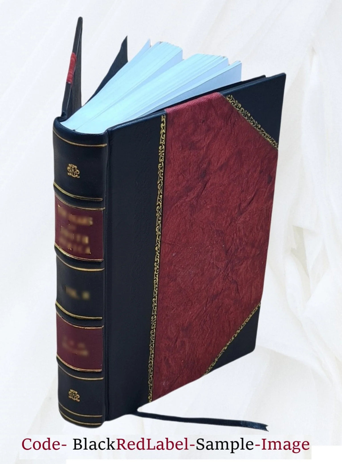 Leather Bound Book X64665