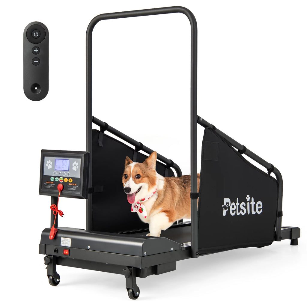 Dog Treadmill S820212