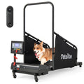 Dog Treadmill S820212