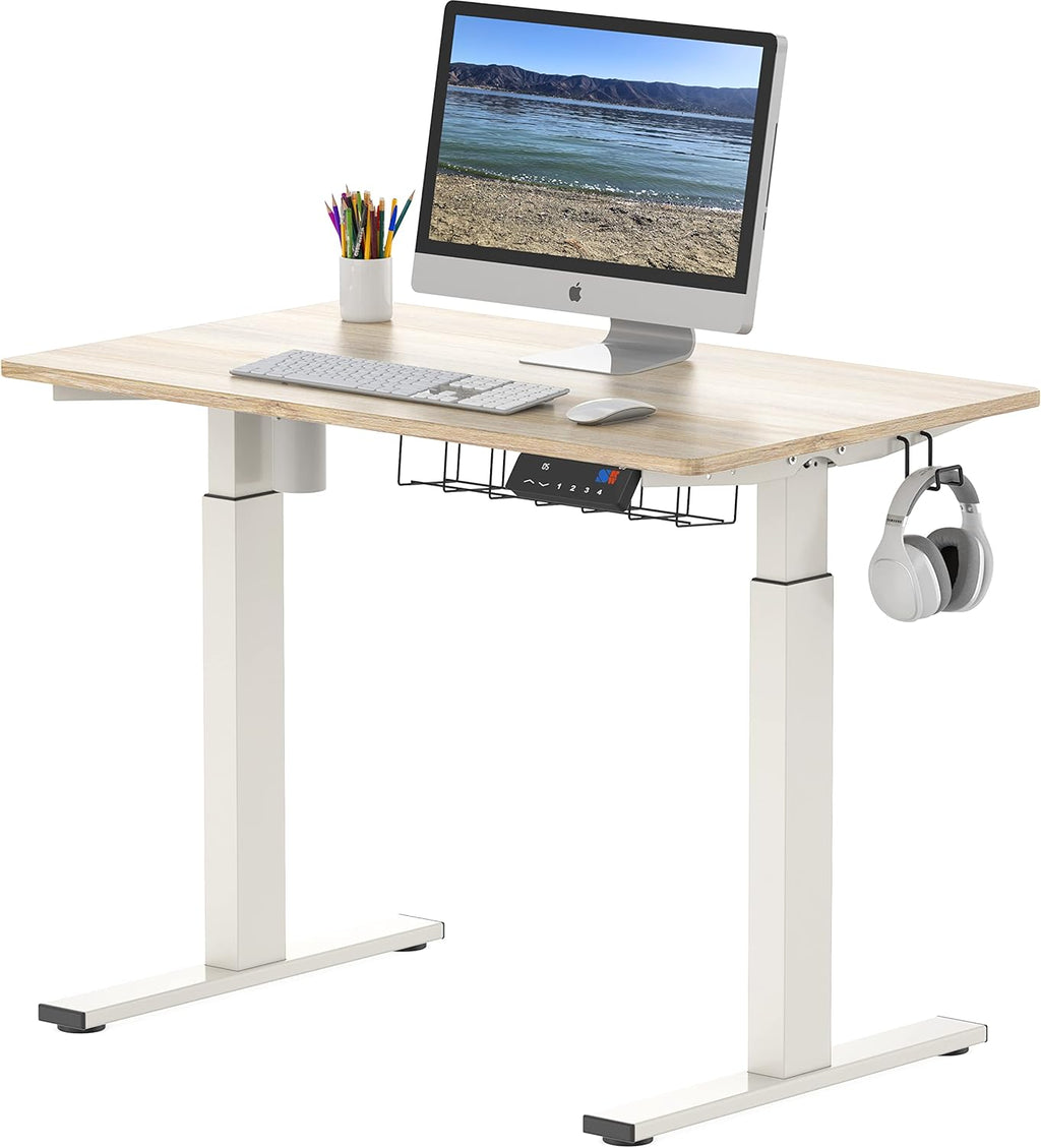 55-Inch Electric Height Adjustable Standing Desk B545